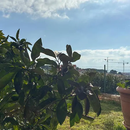 شقة Gorgeous In With Wifi *